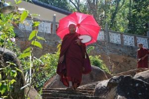 nunnery 6 20120327 1918434165 300x200.jpg